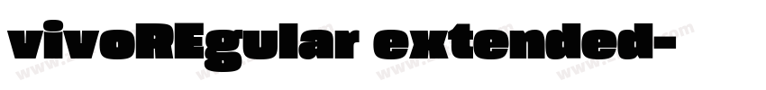 vivoREgular extended字体转换